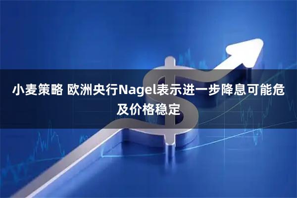 小麦策略 欧洲央行Nagel表示进一步降息可能危及价格稳定
