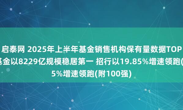 启泰网 2025年上半年基金销售机构保有量数据TOP5：蚂蚁基金以8229亿规模稳居第一 招行以19.85%增速领跑(附100强)