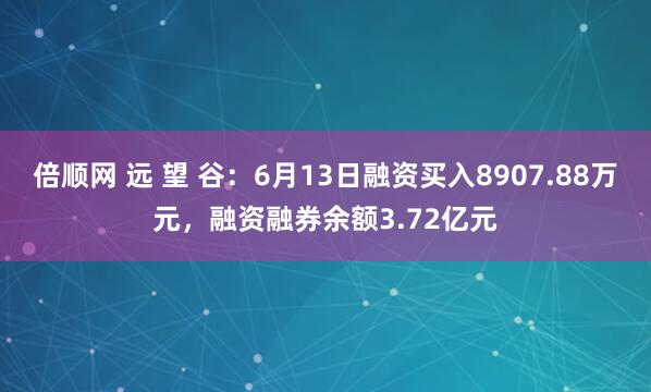 倍顺网 远 望 谷：6月13日融资买入8907.88万元，融资融券余额3.72亿元
